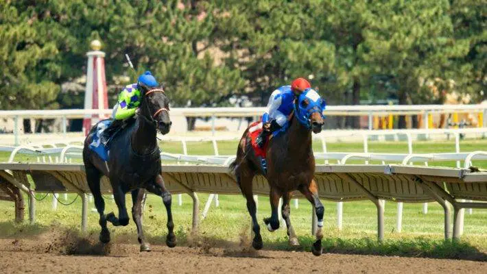 One of the most popular a singular horse racing event captivates the attention of millions worldwide—the Kentucky Derby.