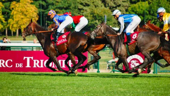Gambling rule changes cost Entain £40m in lost earnings