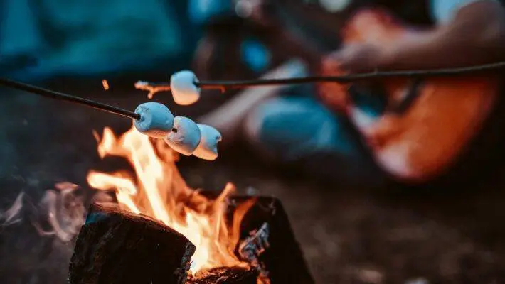 In a flavorful victory, Innovative Bites Ltd, a food company, has emerged triumphant against the UK tax authorities, securing a ruling that exempts its "Mega Marshmallows" from VAT due to their classification as cooking ingredients rather than confectionery.