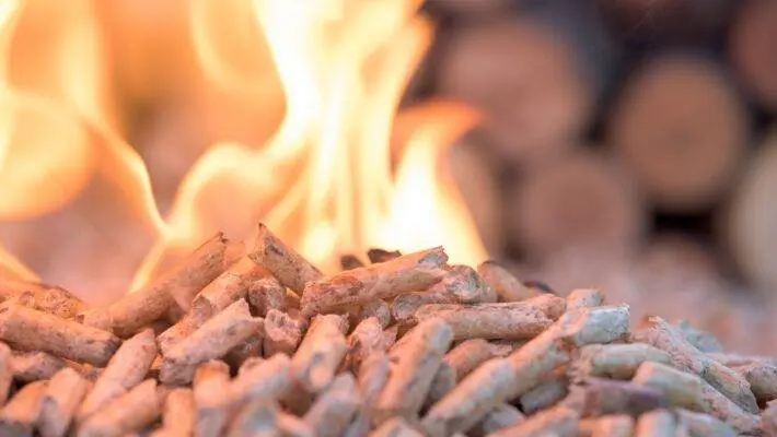 Wood fuels have a wide and useful impact on an energy industry. From past few years, the importance of using wood fuels increasing day by day which is now become a sustainable energy solution.