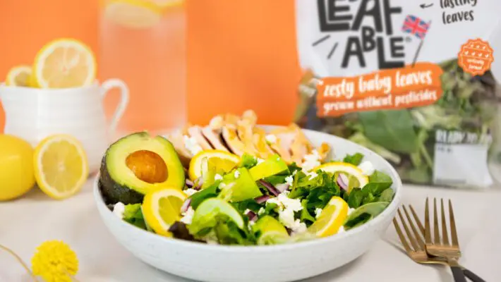 GrowUp, the UK's best-selling vertical farm, announced a substantial £38 million investment from Generate Capital, a prominent sustainable infrastructure investment and operating company