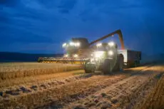 Up to 10% of UK farmers may abandon the industry this month as concerns over rising Capital Gains Tax and reduced subsidies mount ahead of the new government's Autumn Budget, according to Mark Chatterton, Head of Agriculture at Duncan & Toplis accountancy and business advisers.