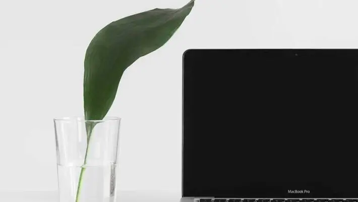 In today’s business landscape, sustainability is not merely a trend but a necessity. EcoVadis has emerged as a vital tool for evaluating corporate sustainability practices