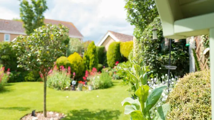 Across the UK and internationally, homeowners are rethinking how they use their outdoor spaces. Gardens are no longer simply areas for planting or summer barbecues.