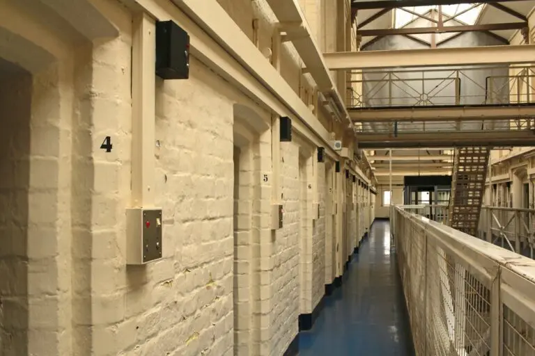 UK tech giants including Google, Amazon and Palantir discussed subcutaneous trackers, AI advisors and robot wardens with ministers to tackle prison overcrowding—sparking human rights concerns.