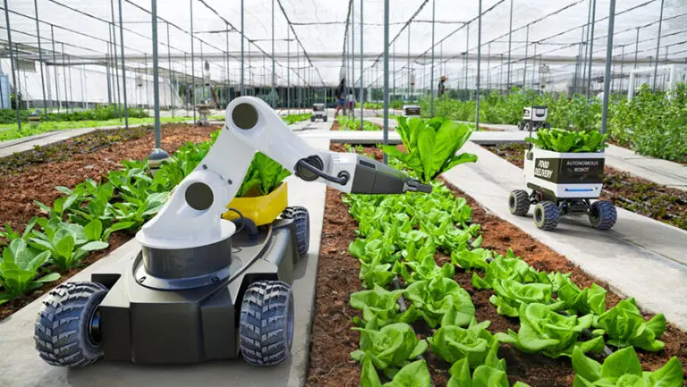Dogtooth Technologies, the British pioneer of AI-powered robotic harvesting, has raised more than £14 million to put its fruit-picking robots to work on commercial farms in the UK and overseas, in a deal that says as much about the state of the rural labour market as it does about the march of the machines.