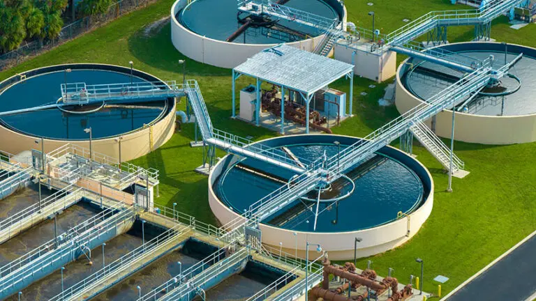 Microscopic water fleas, sewage-eating fly larvae and technology designed for a moon base are among 20 projects to win £100,000 each in the Water Innovation Fund's second Water Discovery Challenge, a £7.5 million competition designed to open the water industry to businesses that have never worked in it.