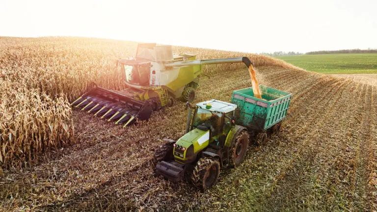 The Food and Drink Federation has warned that grocery prices will continue rising into 2027, with the possibility of shortages, as one of the UK's hottest and driest summers on record cuts supplies of fruit, vegetables and grain.