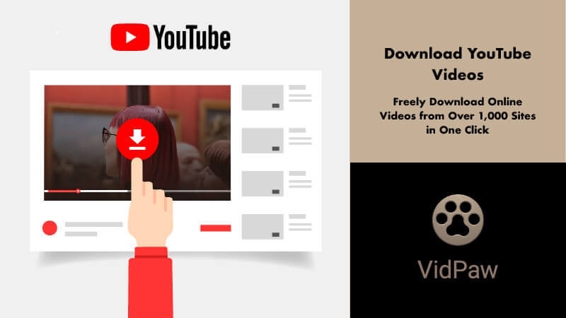 vidpaw online video downloader.