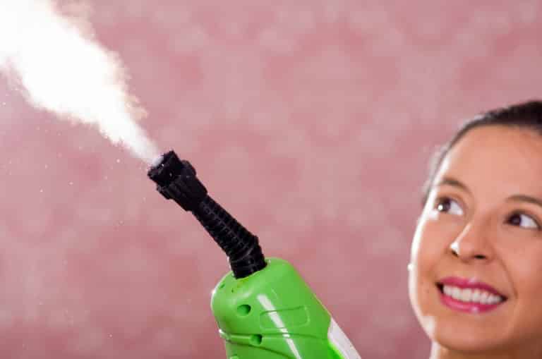Steam Cleaner