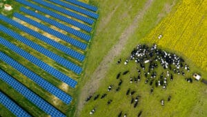 Farmers without solar panels could be missing out on up to £1bn over the next two years, according to new analysis from the Energy and Climate Intelligence Unit (ECIU).