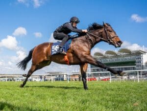 It is rare to find a more exhilarating experience than owning your own racehorse.  The roar of the crowd as the horses gallop up the straight towards the finishing post, the sound of thundering hooves, and the swoosh of colourful silks flying past; the atmosphere is electric.