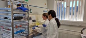 An Innovate UK-backed biotech company has achieved a pioneering biocomputer breakthrough which is accelerating the development and manufacture of cheaper drugs and vaccines.