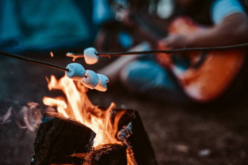 Victory for Innovative Bites Ltd as Judges Rule Marshmallows Not Subject to VAT thumbnail