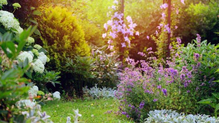 The garden brings happiness and health into your life. When it comes to South Devon, you can call it heaven of gardens.