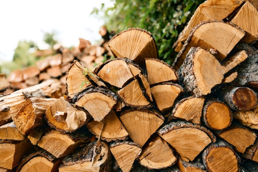 Choosing the right firewood is key to a warm home. Knowing the best and worst woods for your fireplace is important. It helps keep your home warm, efficient, and safe during cold months.